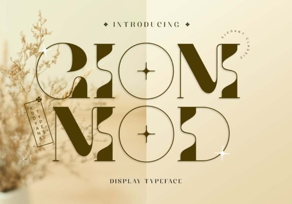 Giom Mod: The Elegant Serif Font for Branding