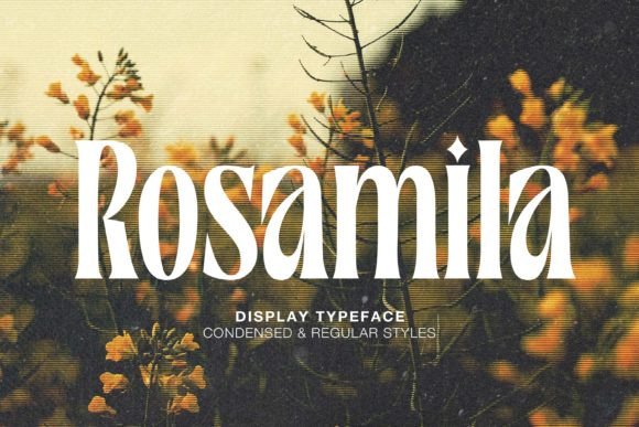 Rosamila Serif Font for Elegant Business Branding