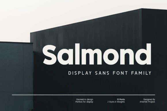 Salmond: A Modern Sans Serif Typeface Review