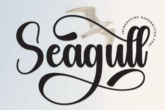 Seagull Font Review: A Sweet Handwritten Typeface for Branding